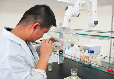 东升国际官网-钻营健全,你我一路成长